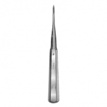Root Tip
